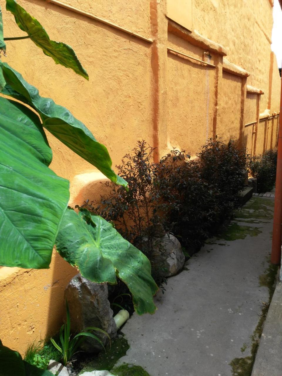 Casa-Arbol Apartman Bogotá Kültér fotó
